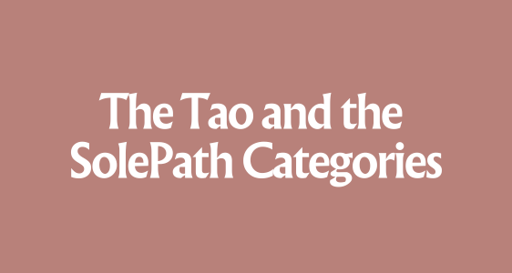 1. Human Behaviour - The Tao and SolePath Categories (SFP1)